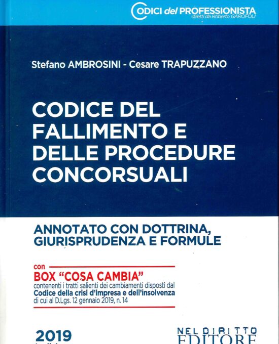 NELDIRITTO EDITORE SRL