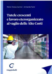 G.GIAPPICHELLI EDITORE SRL