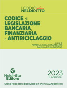 NELDIRITTO EDITORE SRL