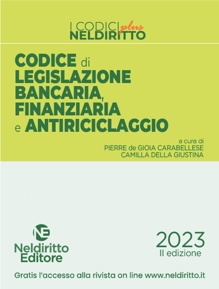 NELDIRITTO EDITORE SRL