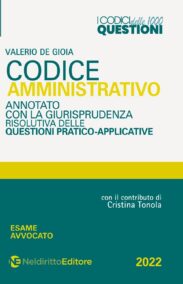 NELDIRITTO EDITORE SRL