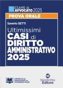 NELDIRITTO EDITORE SRL