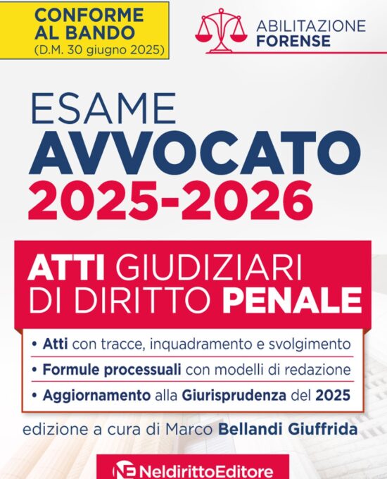 NELDIRITTO EDITORE SRL