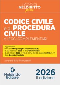 NELDIRITTO EDITORE SRL