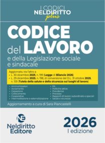 NELDIRITTO EDITORE SRL
