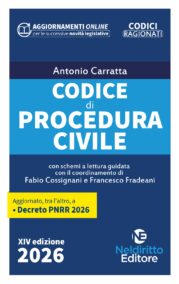 NELDIRITTO EDITORE SRL