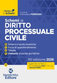 NELDIRITTO EDITORE SRL