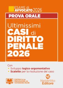 NELDIRITTO EDITORE SRL